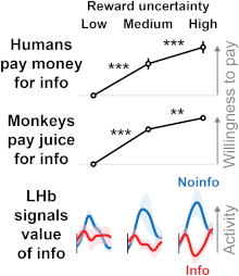 A lateral habenula neuron signaling the value of information and juice reward!