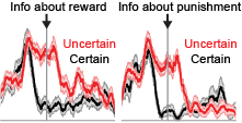 A ventrolateral prefrontal cortex neuron anticipating information about both rewards and punishments!